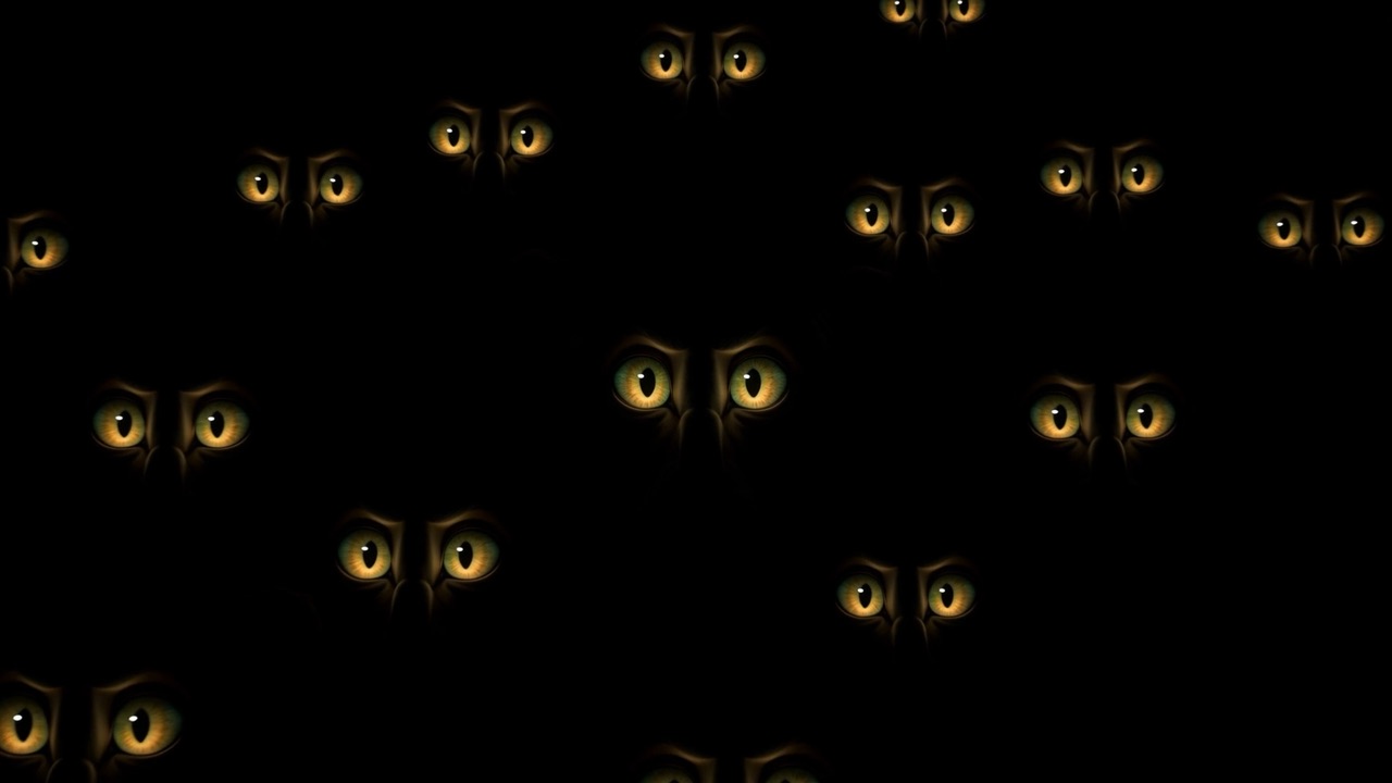 Then a dozen pairs, all turned the same way