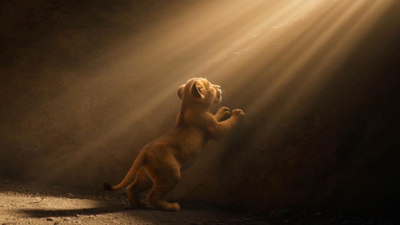 A cub leaps and paws at the sunbeam
