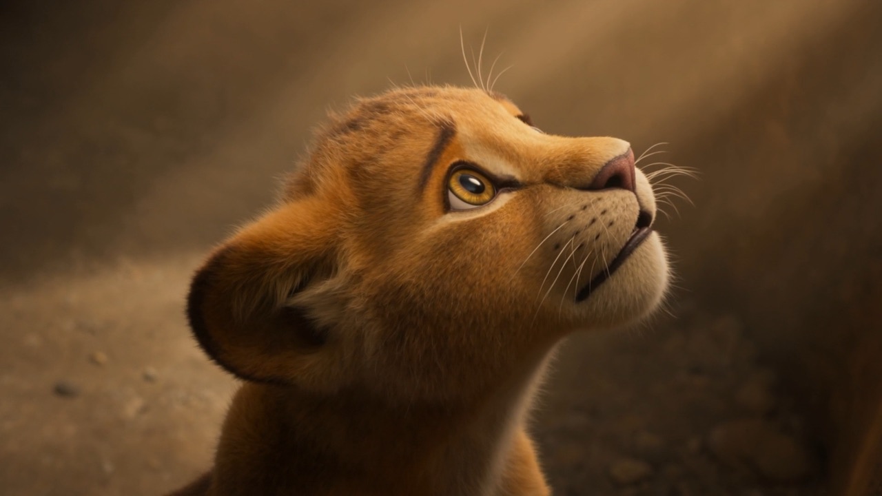 The cub's face turned up to the morning light