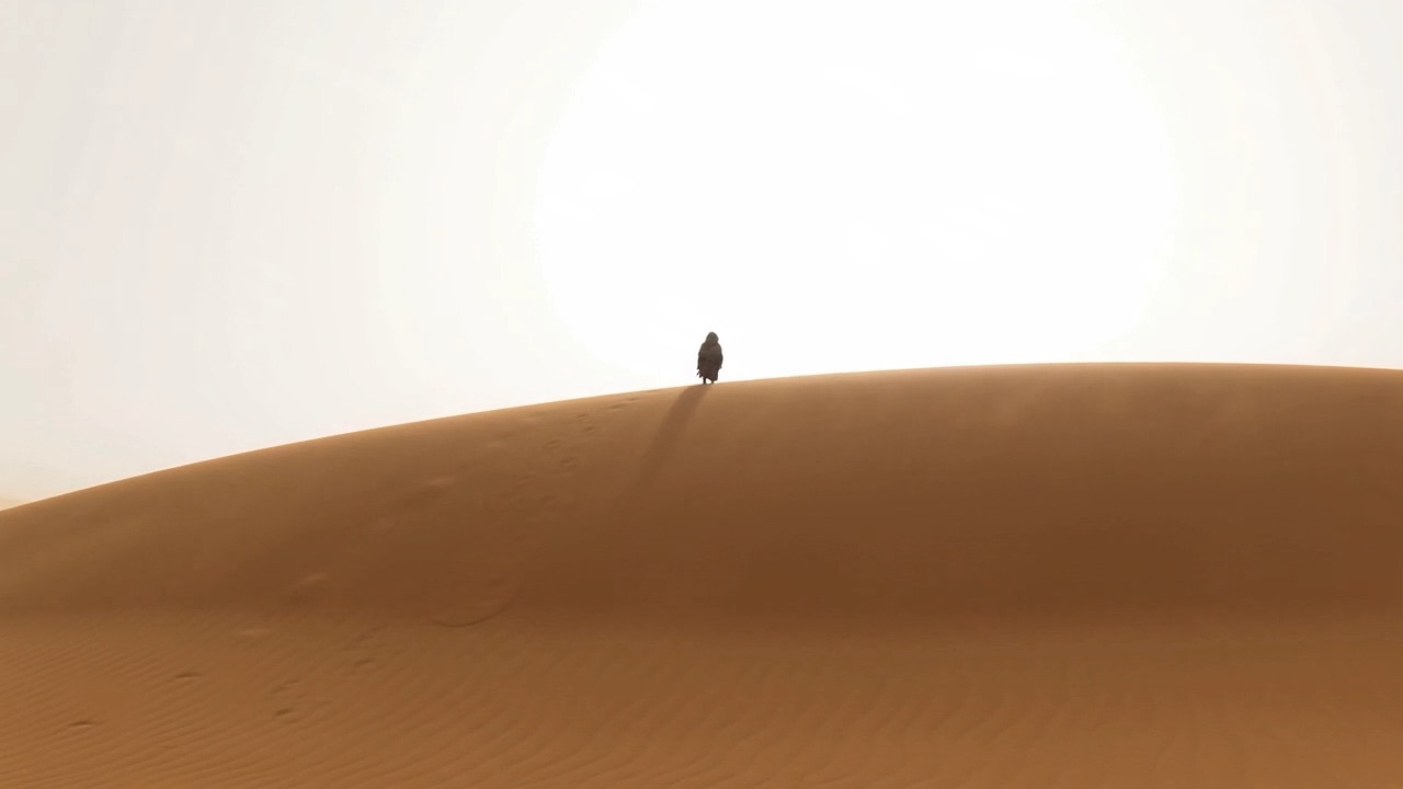 The desert does not care who raised you