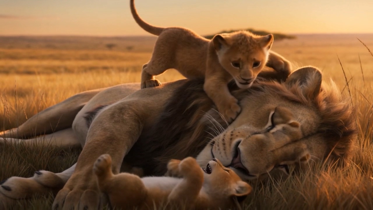 Cubs climbing all over him