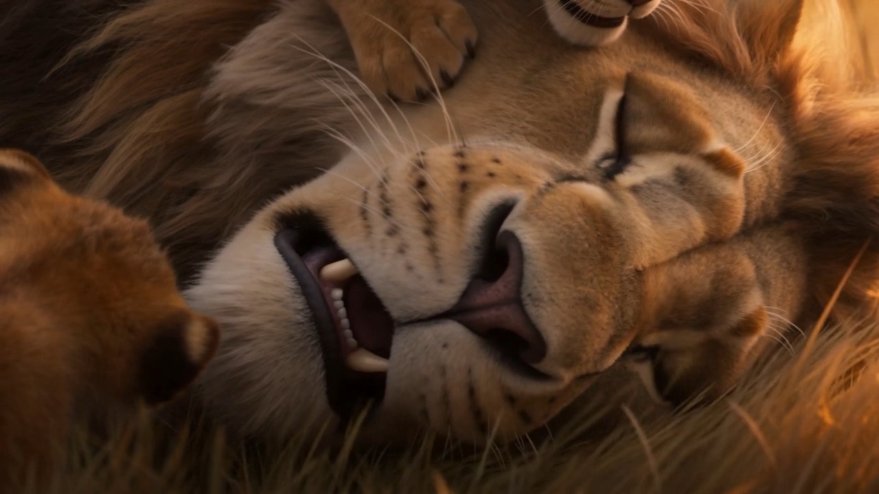 One of them chewing his ear