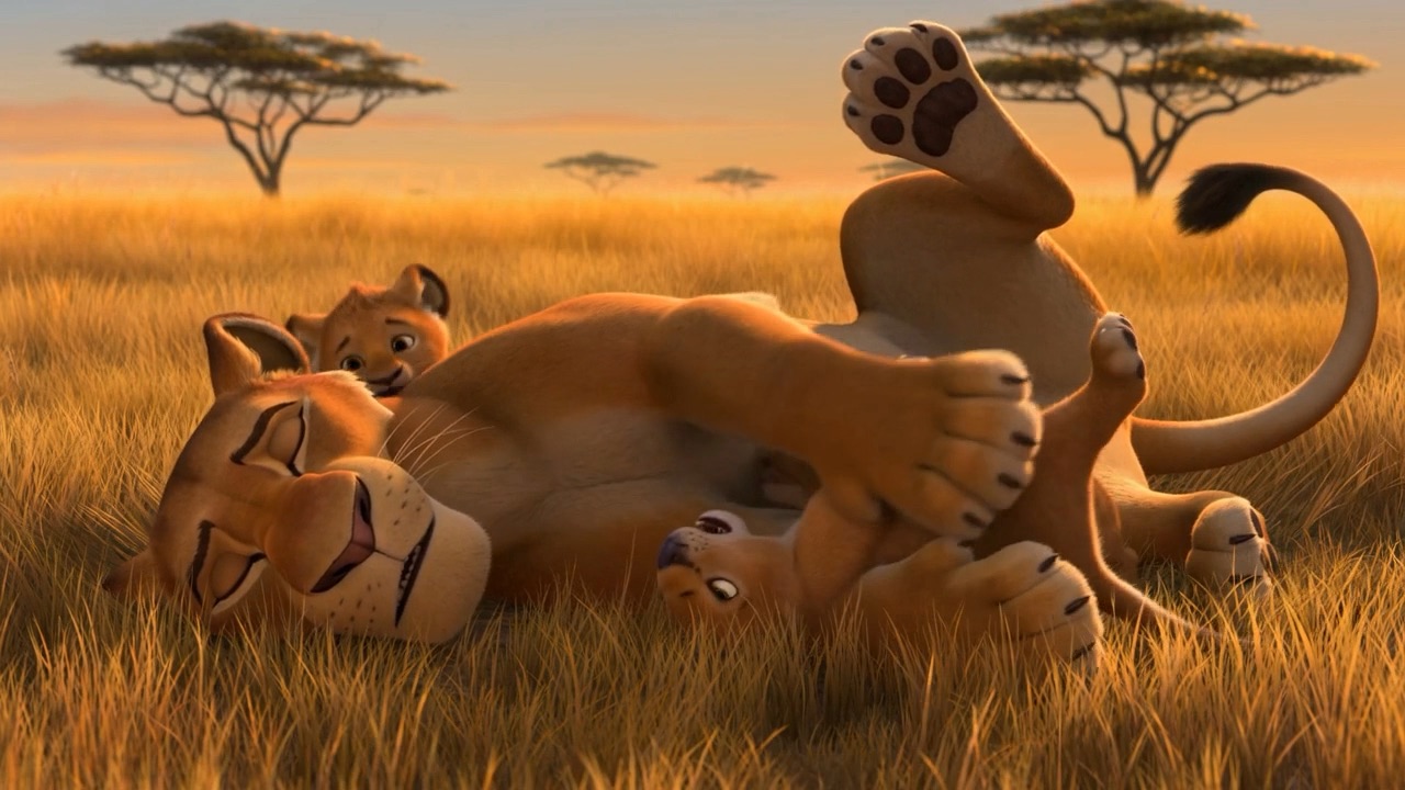 A lioness rolls over, entirely done in