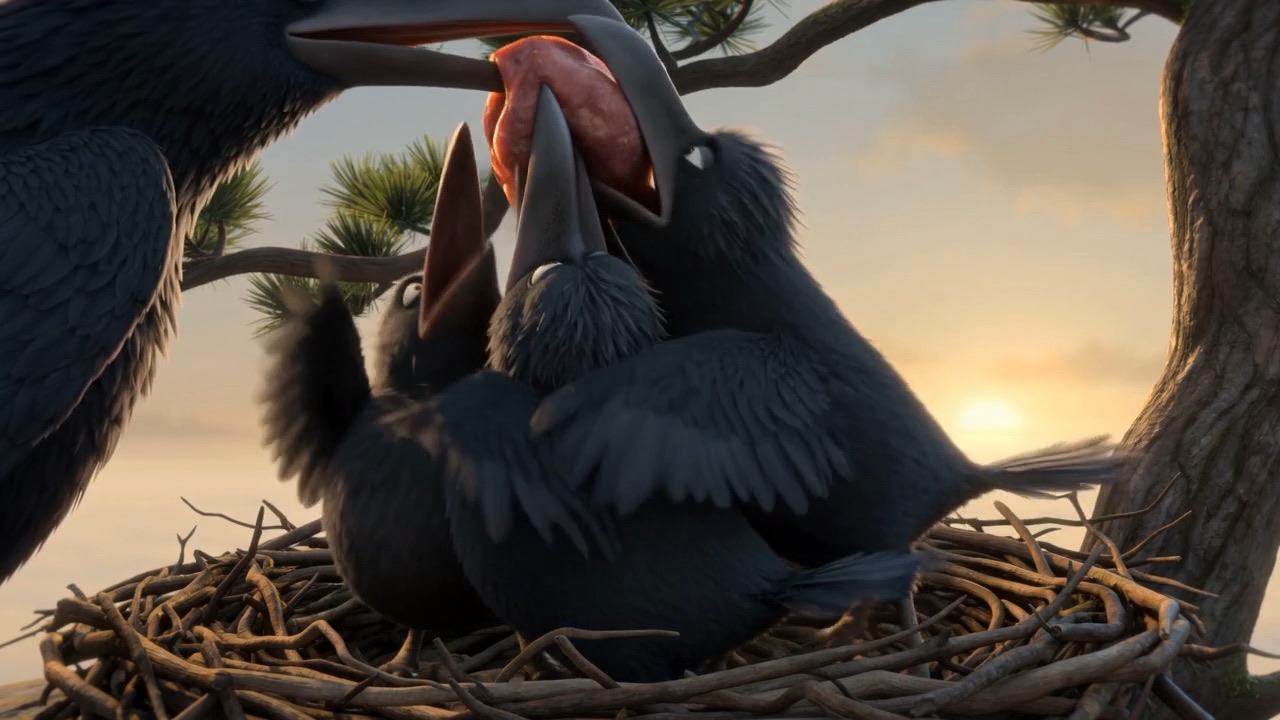 Every beak open at once