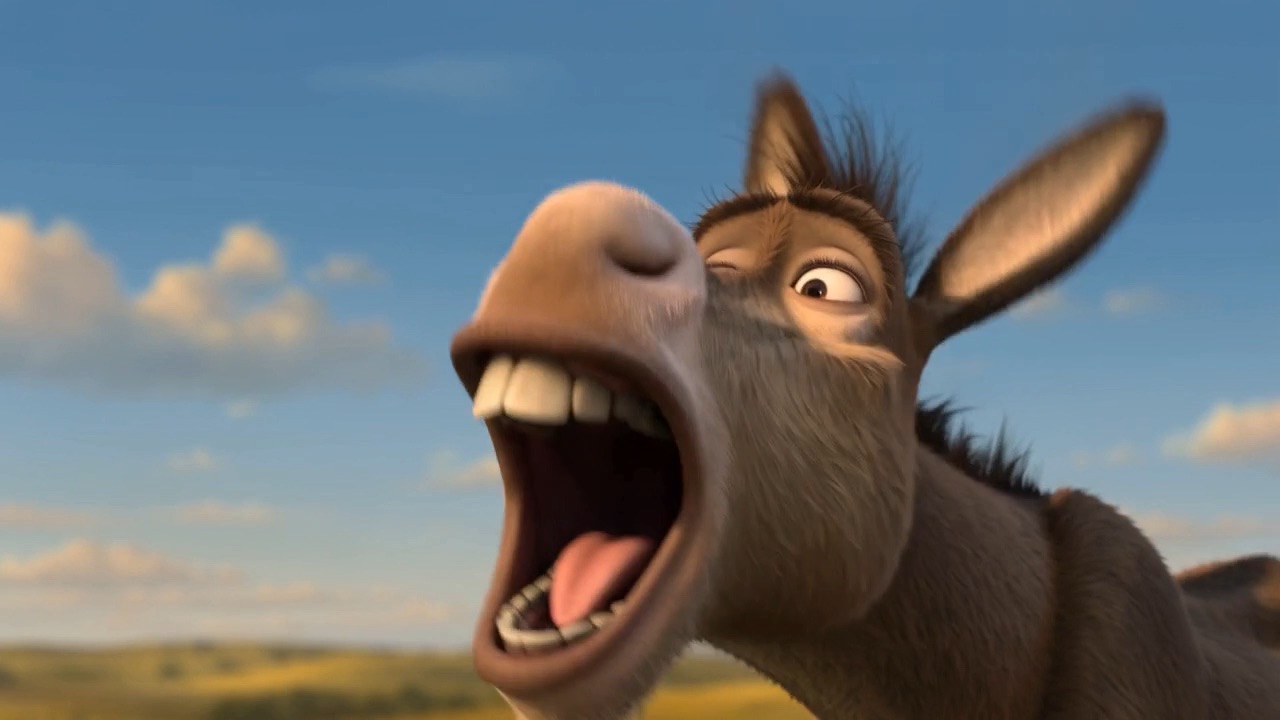 A wild donkey braying at nothing in particular