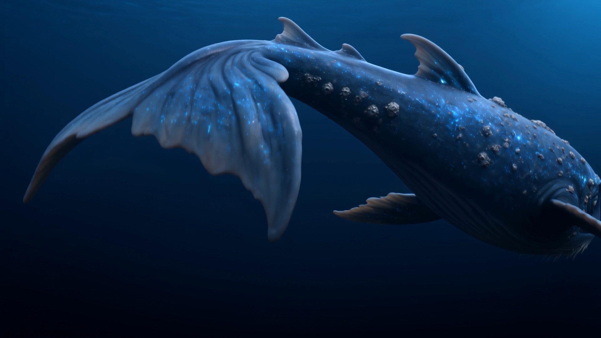 The great fish turns, tail high