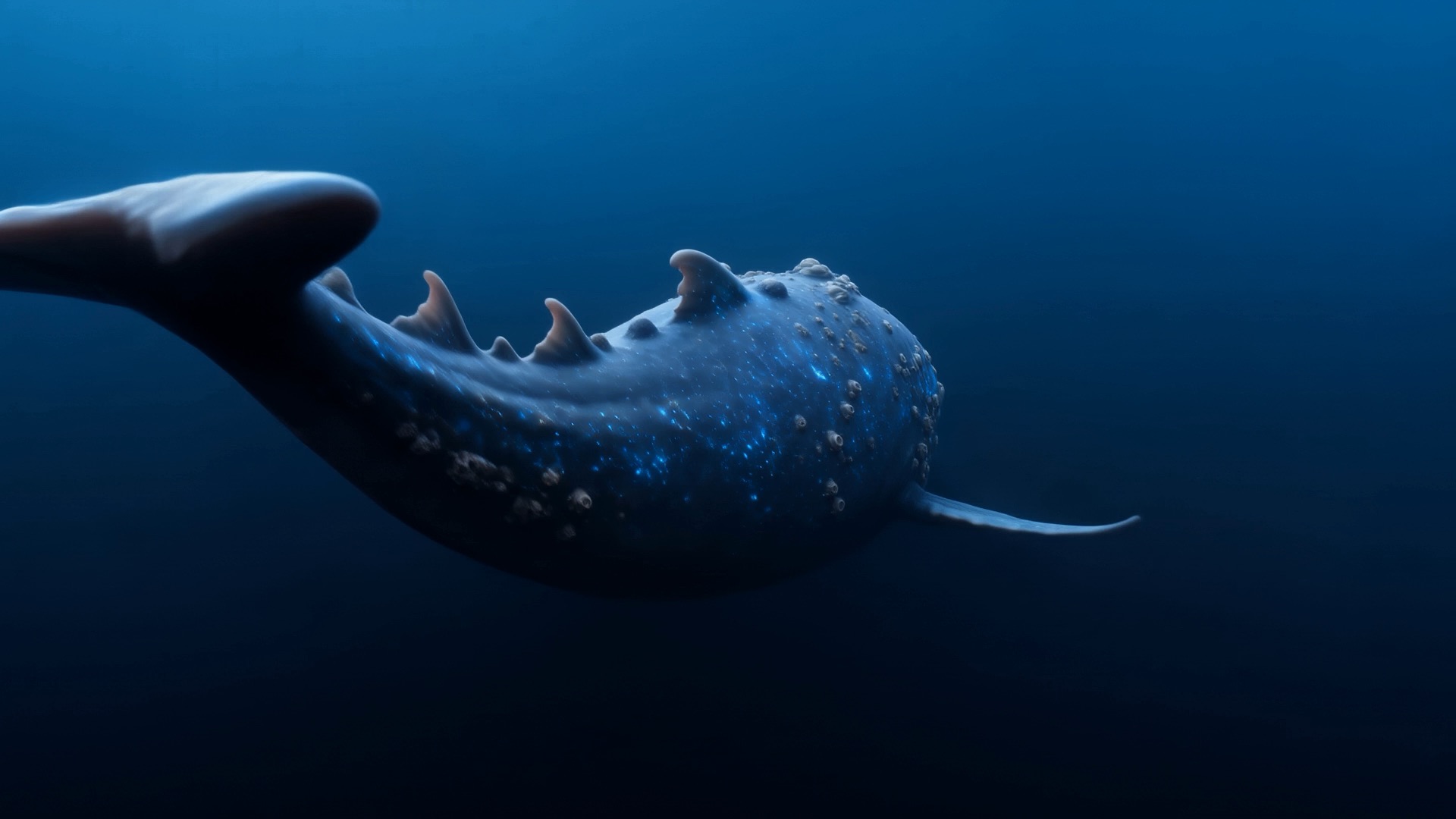 The great fish dives away with its passenger