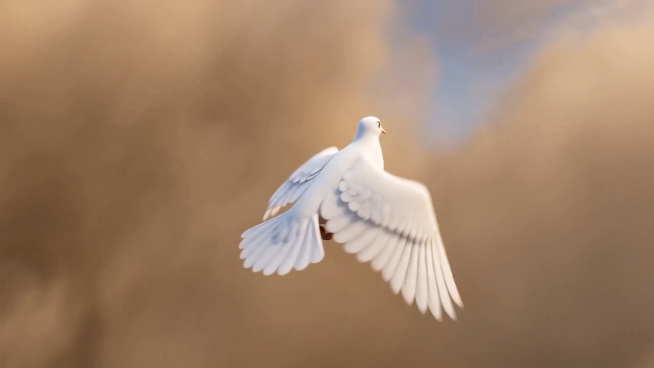 A white dove climbs out of the dust cloud