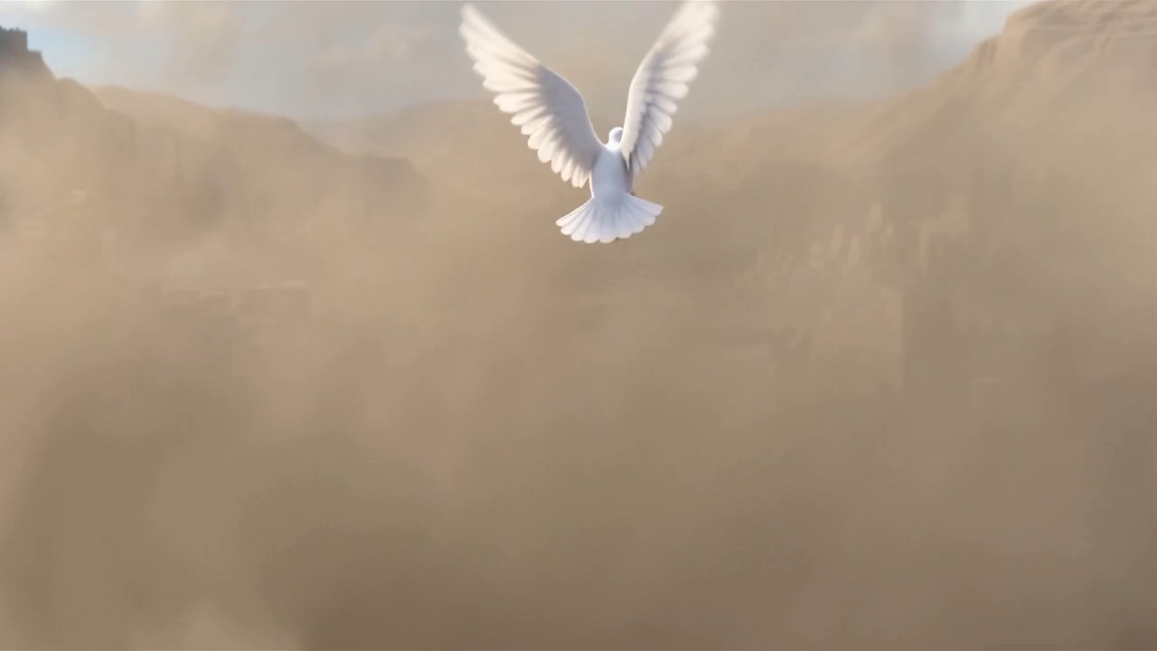 Everything disappears into white dust