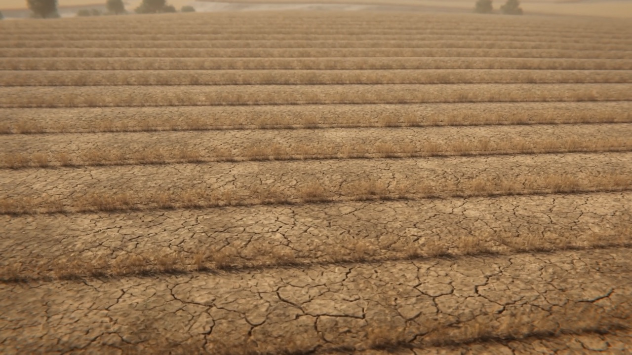 Nothing but cracked earth where the harvest was