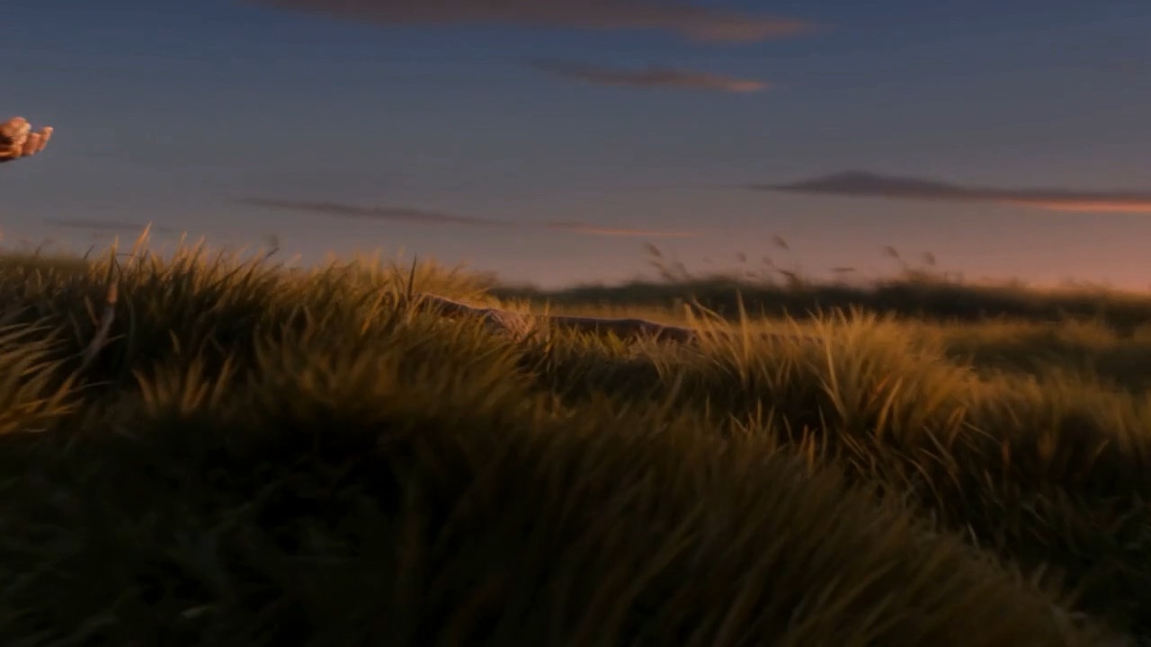 Light climbs the headland grass, blade by blade